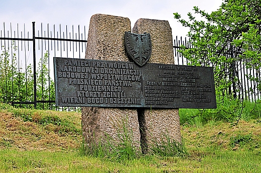 Fort VII