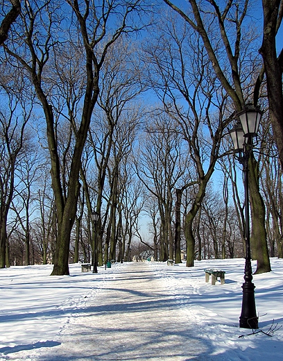 Alejka przez park na Grze Chemskiej