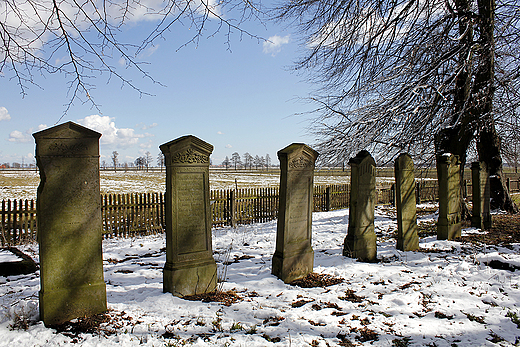 Stogi - cmentarz mennonicki