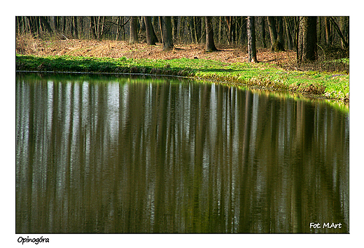 Opinogra - park typu angielskiego w Opinogrze