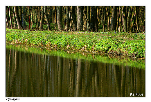 Opinogra - park typu angielskiego w Opinogrze