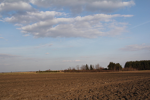 mazowieckie pola