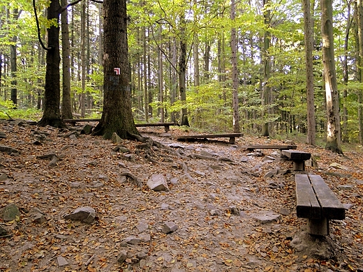 witokrzyski Park Narodowy - Rezerwat ysica