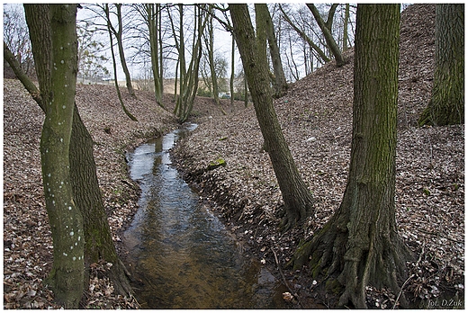 Sanktuarium Matki Boej Bolesnej. Obory