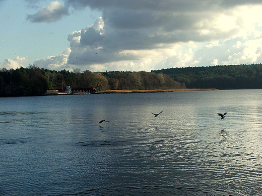 jezioro Barlineckie