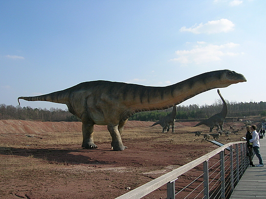 Pna Jura - Amficellas .Dinopark w Krasiejowie.