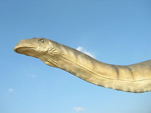 Amficellas - Dinopark w Krasiejowie