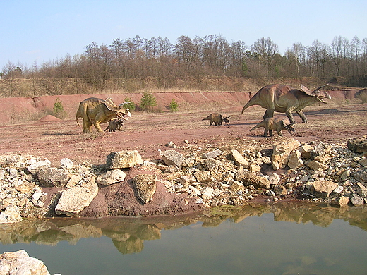 Pna kreda - Triceratops.
