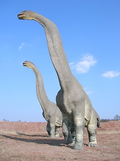 Pna jura - dinozaur. Dinopark w Krasiejowie