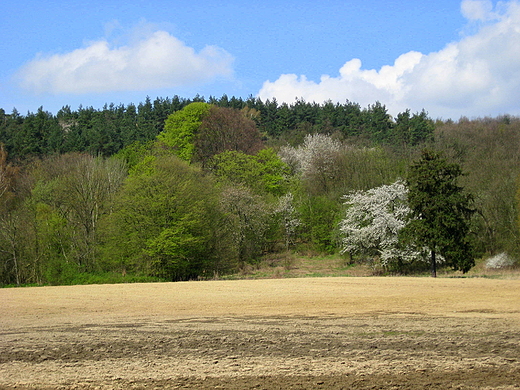 Dolina Poni okolice Barlonak