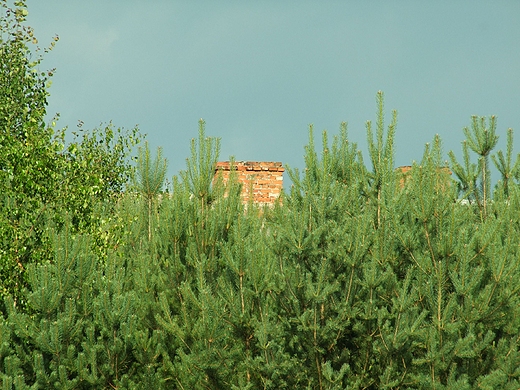 Kominy nad lasem. Ciemniki