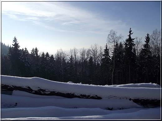 Widok ze szlaku.