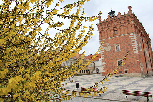 sandomierskie klimaty