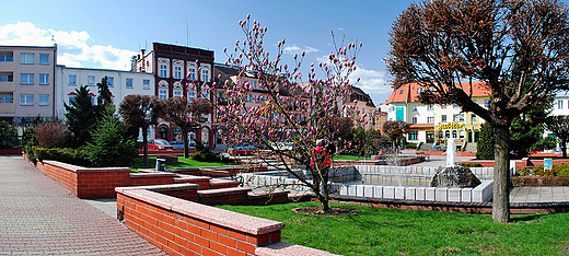 Panorama krapkowickiego Rynku.