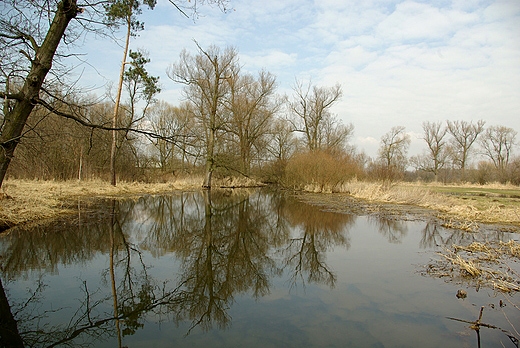 Wiosenna woda. Radomka