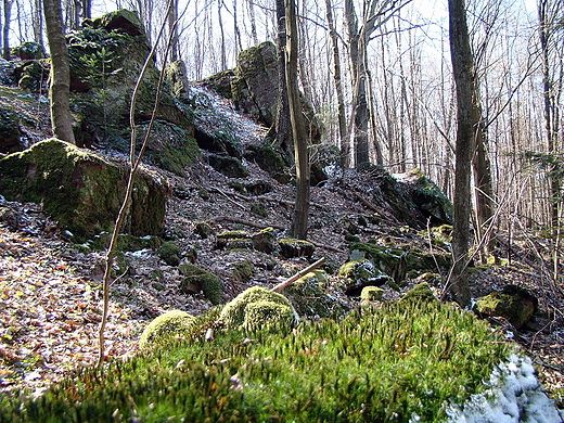 Perzowa Gra