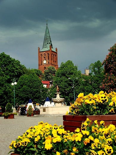 Barlinek - rynek miasta