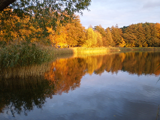 Jezioro Barlineckie - jesie