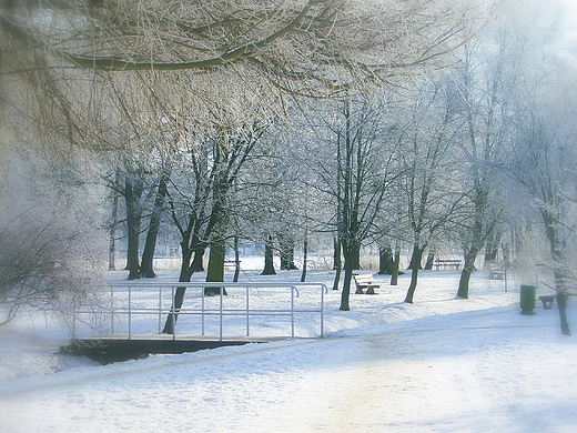 Barlinek - zimowy  park.