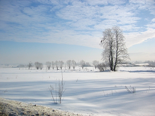 Barlinek -zimowe pola w okolicy