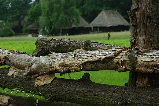 Muzeum Wsi Radomskiej. Ogrodzenie