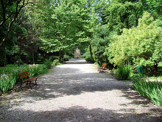 Czarnca - arboretum