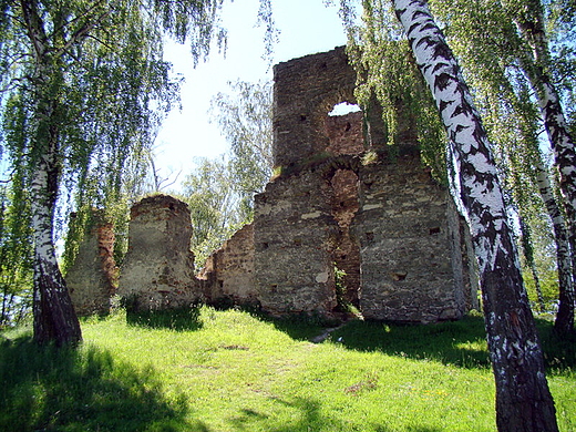 apczyna Wola - ruiny zboru ariaskiego z pocztku XVII w.