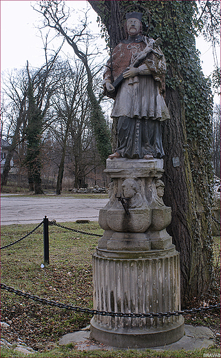 Pocysterski Zesp Klasztorno-Paacowy w Rudach Raciborskich - fragment parku