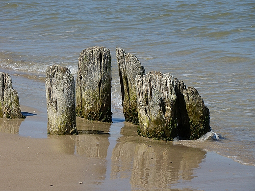 Resztki falochronu