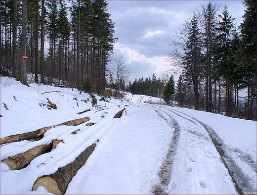 Zima wraca - widok z Biaego Krzya