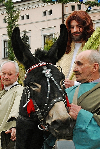 Misterium niedzieli Palmowej w Strumieniu