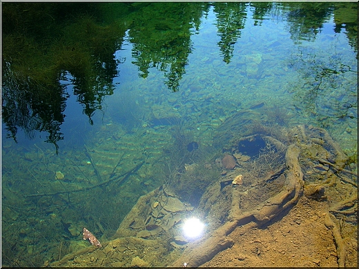 woda czysta jak za