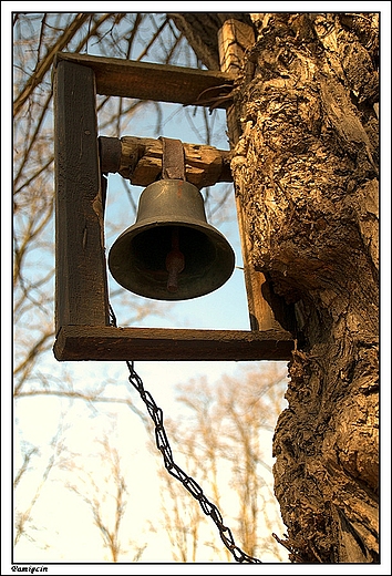 Pamicin - cmentarz parafialny, may dzwonek sygnaowy umieszczony na starym drzewie