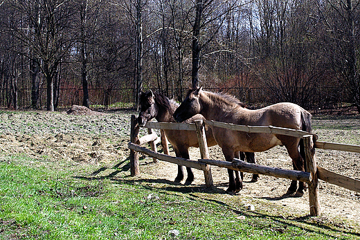 Grnolski Park Etnograficzny w Chorzowie.