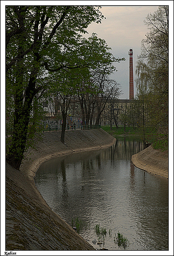 Kalisz - spacer nad kanaem Rypinkowskim