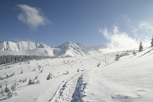 Śnieżna droga do Murowańca