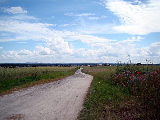 Konieczno - widok na Pasmo Przedborsko-Maogoskie