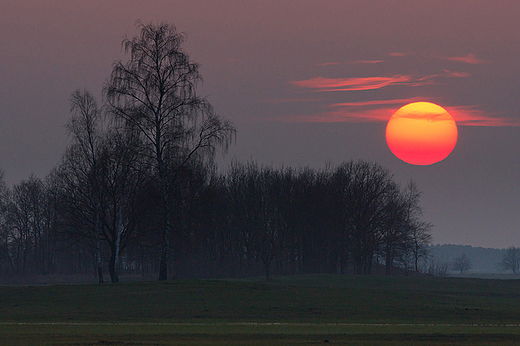 Dobranoc Podlasie.