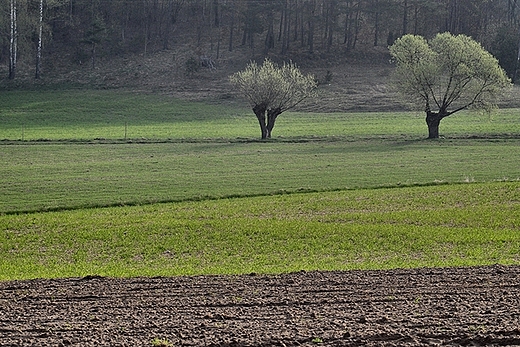 Okolice Gboczka