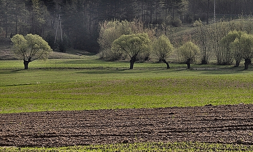 Okolice Gboczka