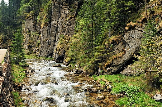 Kościeliska