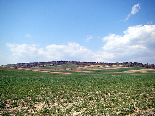 Pasmo Sieradowickie - Gra Sieradowska