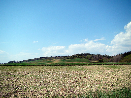 Pasmo Sieradowickie - Gra Sieradowska