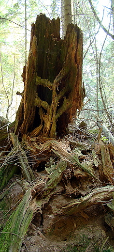 Rezerwat Gra Sieradowska