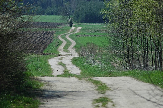 Drugnia - droga do wsi