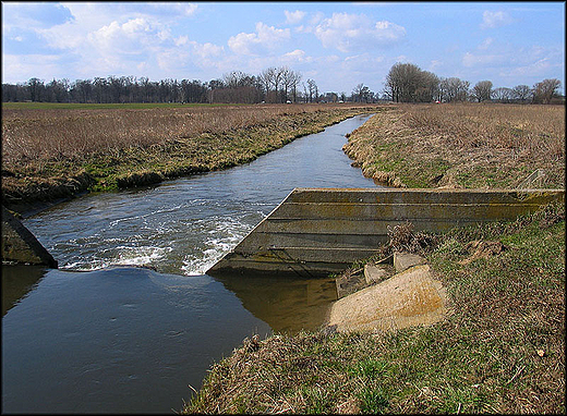 Raszynka. Okolice Pcic