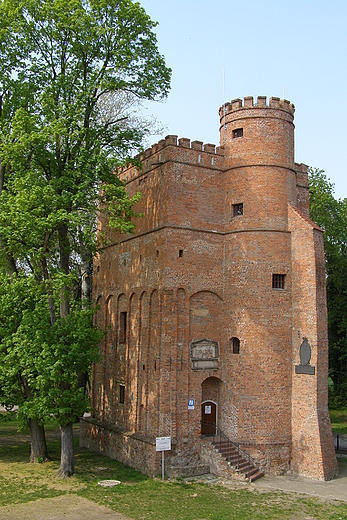 Zesp Paacowo - Parkowy w migrodzie.