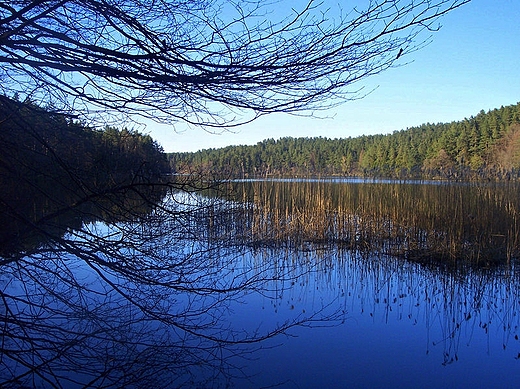 Jezioro Krzynia. Dolina Supi