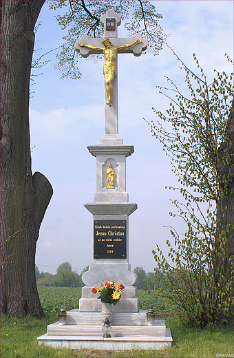 Polskie kapliczki - TYLKO W POLU BIAY KRZY, NIE PAMITA JU KTO POD NIM PI... - krzy w  polach - Czechowice Dziedzice