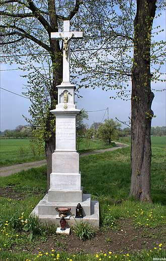 Polskie kapliczki - krzy przydrony w Kaniowie 1899r.